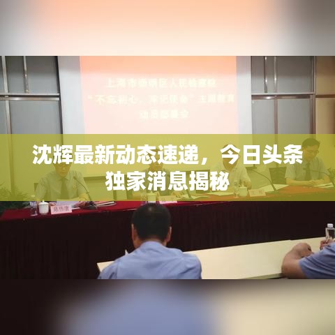 沈辉最新动态速递，今日头条独家消息揭秘