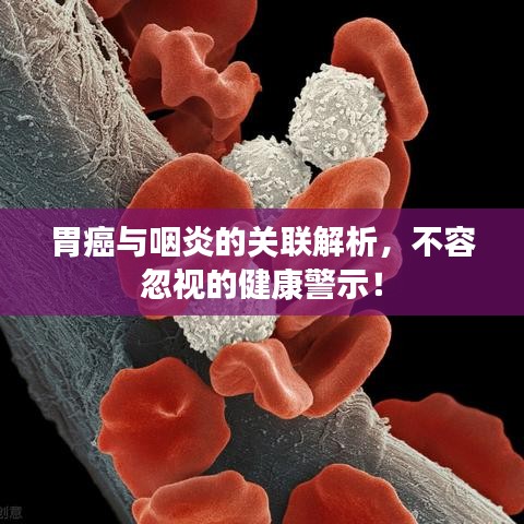 胃癌与咽炎的关联解析，不容忽视的健康警示！