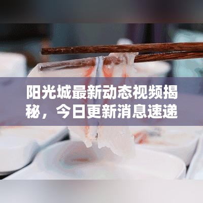 阳光城最新动态视频揭秘,今日更新消息速递!