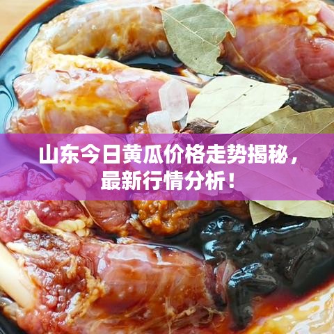 山东今日黄瓜价格走势揭秘,最新行情分析!