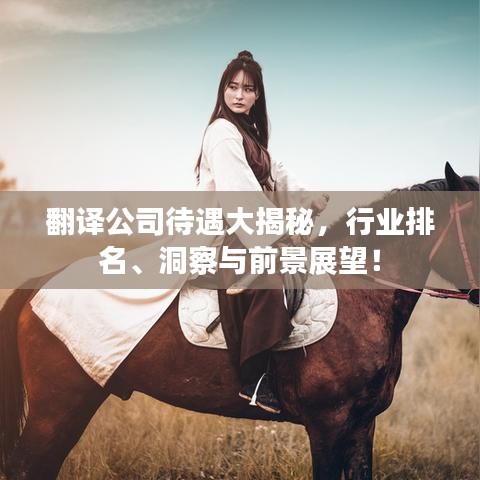 翻译公司待遇大揭秘,行业排名、洞察与前景展望!