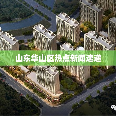 山东华山区热点新闻速递