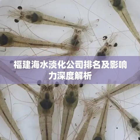 福建海水淡化公司排名及影响力深度解析