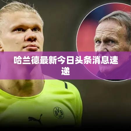 哈兰德最新今日头条消息速递