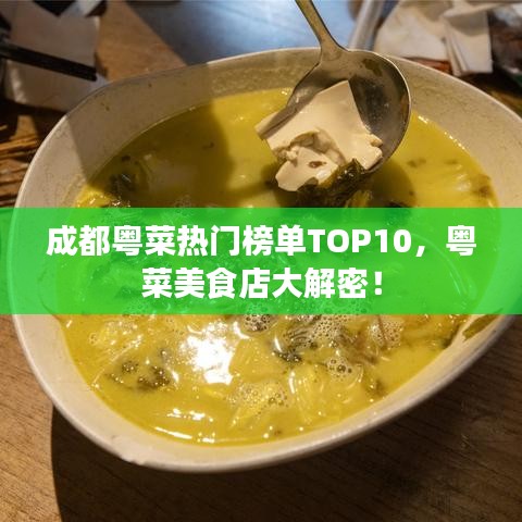 成都粤菜热门榜单TOP10，粤菜美食店大解密！