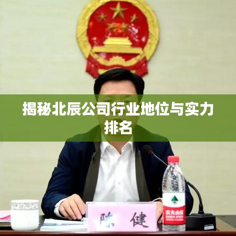 揭秘北辰公司行业地位与实力排名