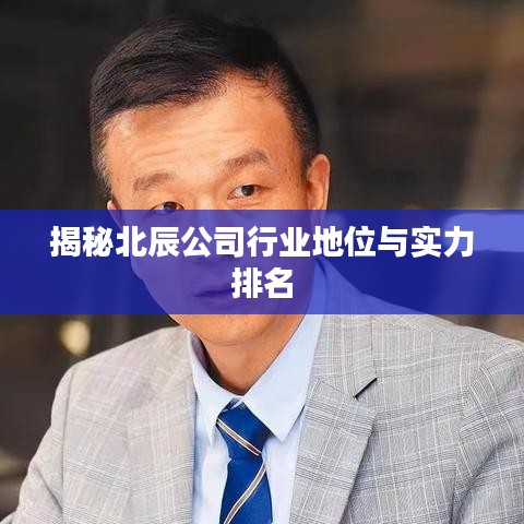 揭秘北辰公司行业地位与实力排名