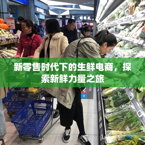 新零售时代下的生鲜电商,探索新鲜力量之旅