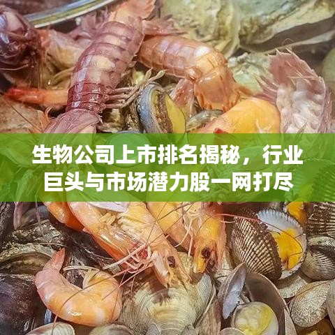 生物公司上市排名揭秘，行业巨头与市场潜力股一网打尽