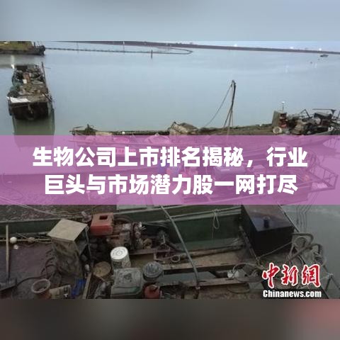 生物公司上市排名揭秘,行业巨头与市场潜力股一网打尽