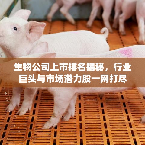 生物公司上市排名揭秘,行业巨头与市场潜力股一网打尽