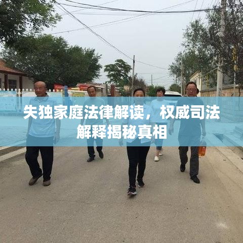 失独家庭法律解读,权威司法解释揭秘真相