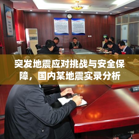 突发地震应对挑战与安全保障，国内某地震实录分析