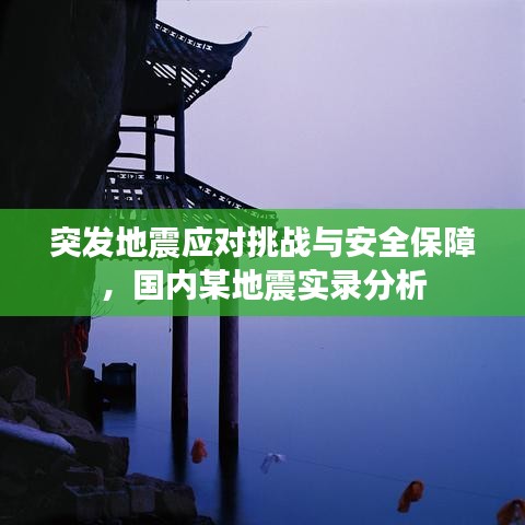 突发地震应对挑战与安全保障,国内某地震实录分析