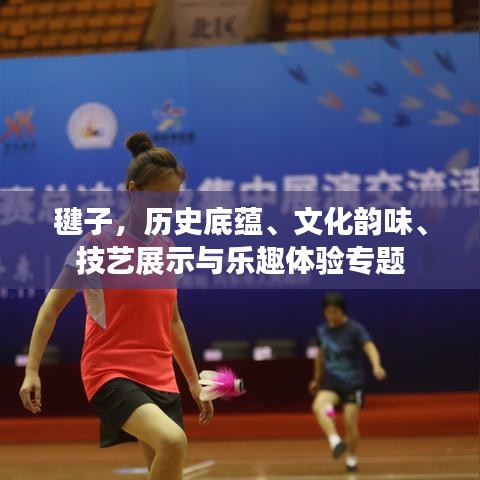 毽子,历史底蕴、文化韵味、技艺展示与乐趣体验专题