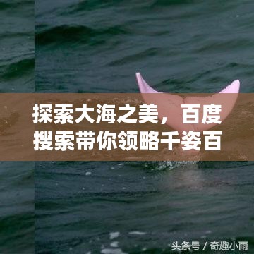 探索大海之美,百度搜索带你领略千姿百态的海域风情
