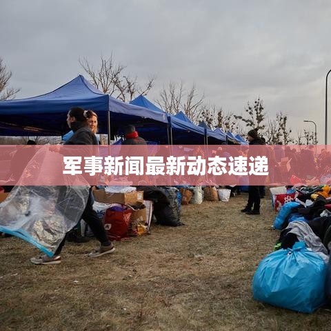军事新闻最新动态速递