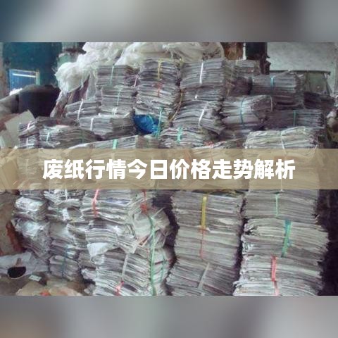 废纸行情今日价格走势解析