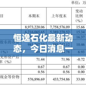 恒逸石化最新动态,今日消息一览