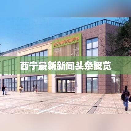 西宁最新新闻头条概览