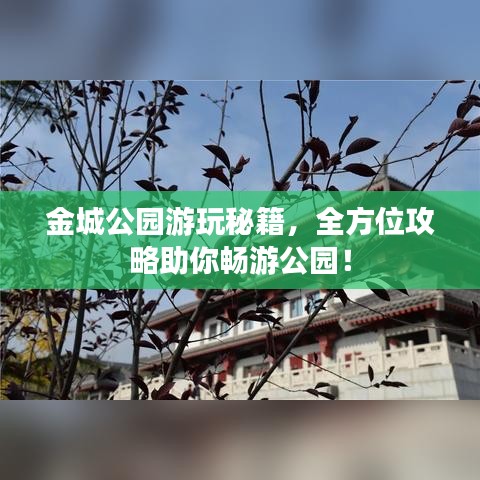 金城公园游玩秘籍，全方位攻略助你畅游公园！