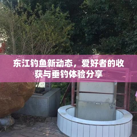 东江钓鱼新动态,爱好者的收获与垂钓体验分享