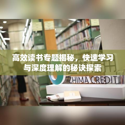 高效读书专题揭秘,快速学习与深度理解的秘诀探索