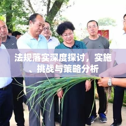 法规落实深度探讨，实施、挑战与策略分析