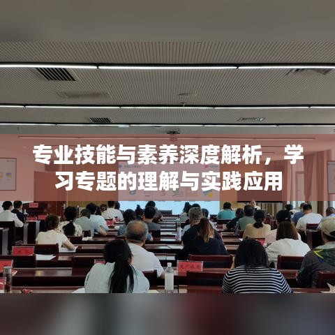 专业技能与素养深度解析，学习专题的理解与实践应用