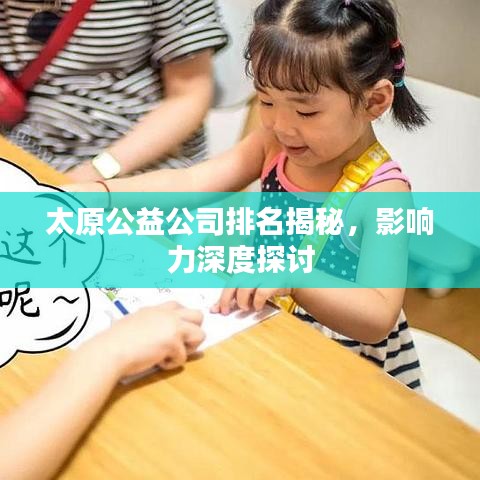 太原公益公司排名揭秘，影响力深度探讨