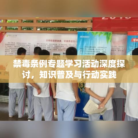 禁毒条例专题学习活动深度探讨，知识普及与行动实践