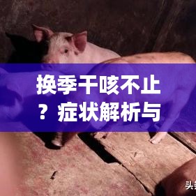 换季干咳不止?症状解析与应对方案全攻略