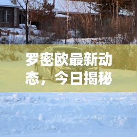 罗密欧最新动态,今日揭秘独家消息!