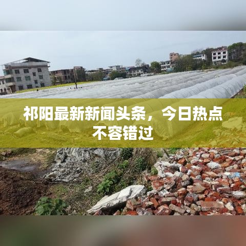 祁阳最新新闻头条，今日热点不容错过