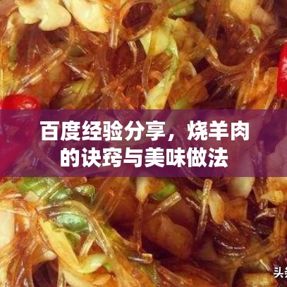 百度经验分享，烧羊肉的诀窍与美味做法