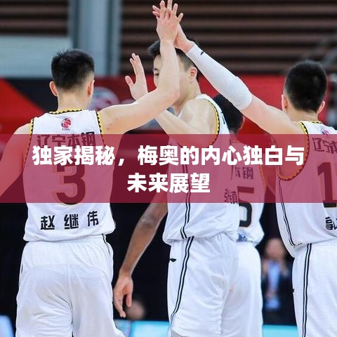 独家揭秘,梅奥的内心独白与未来展望