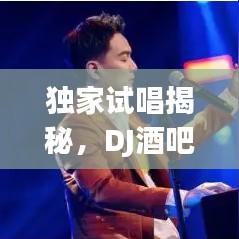 独家试唱揭秘，DJ酒吧的音乐盛宴与独特魅力体验