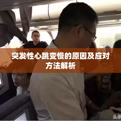突发性心跳变慢的原因及应对方法解析