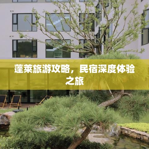 蓬莱旅游攻略，民宿深度体验之旅