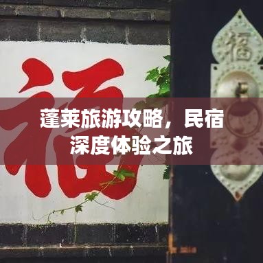 蓬莱旅游攻略,民宿深度体验之旅