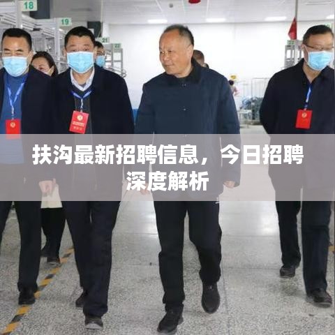 扶沟最新招聘信息，今日招聘深度解析