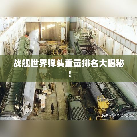 战舰世界弹头重量排名大揭秘!