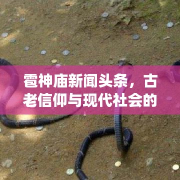 雹神庙新闻头条,古老信仰与现代社会的完美交融