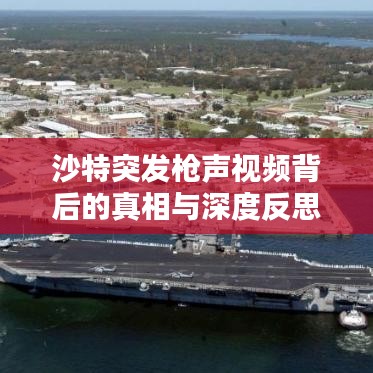 沙特突发枪声视频背后的真相与深度反思