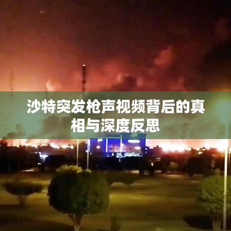 沙特突发枪声视频背后的真相与深度反思