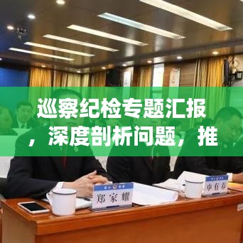巡察纪检专题汇报,深度剖析问题,推动监督执纪高质量发展