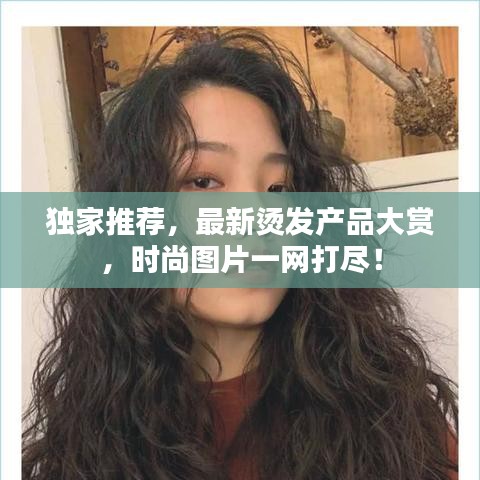 独家推荐，最新烫发产品大赏，时尚图片一网打尽！