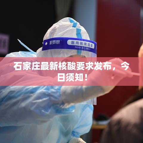 石家庄最新核酸要求发布，今日须知！
