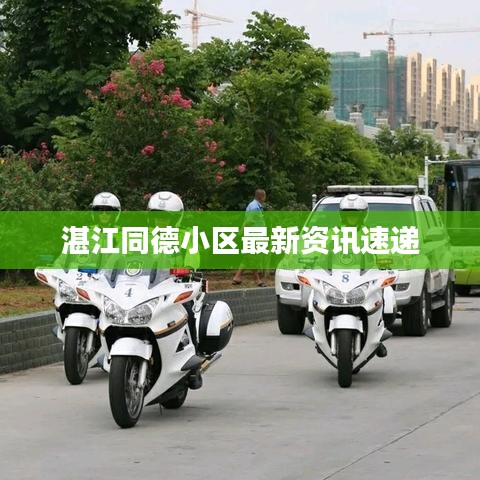 湛江同德小区最新资讯速递