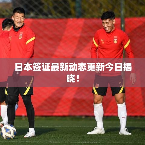 日本签证最新动态更新今日揭晓!